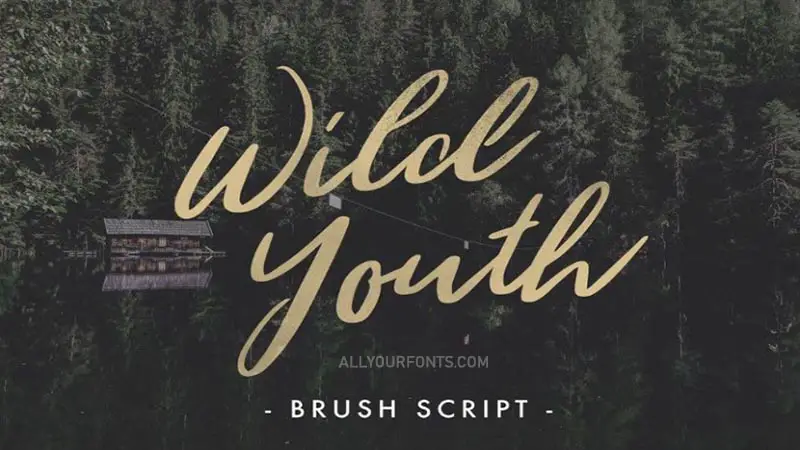 Wild Youth Font Free Download