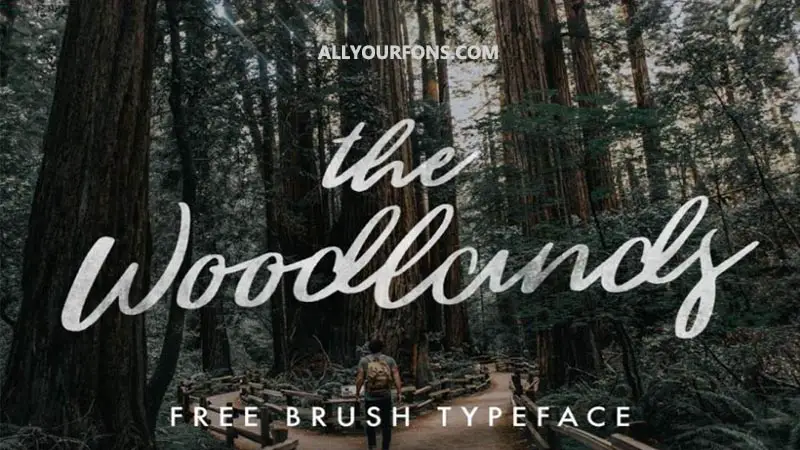 Woodlands Font Family Free Download