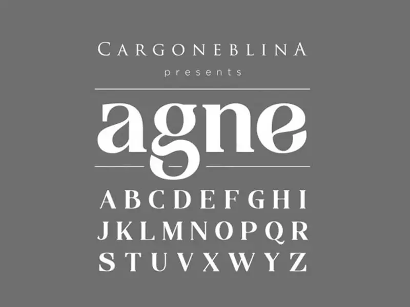 Agne Font Family Download