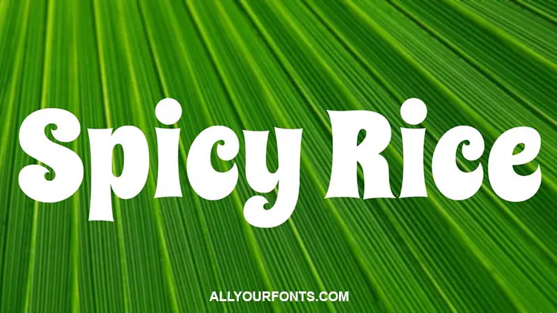 Spicy Rice Font Family Free Download