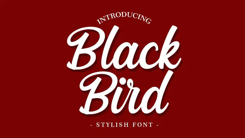 Blackbird Font Family Free Download